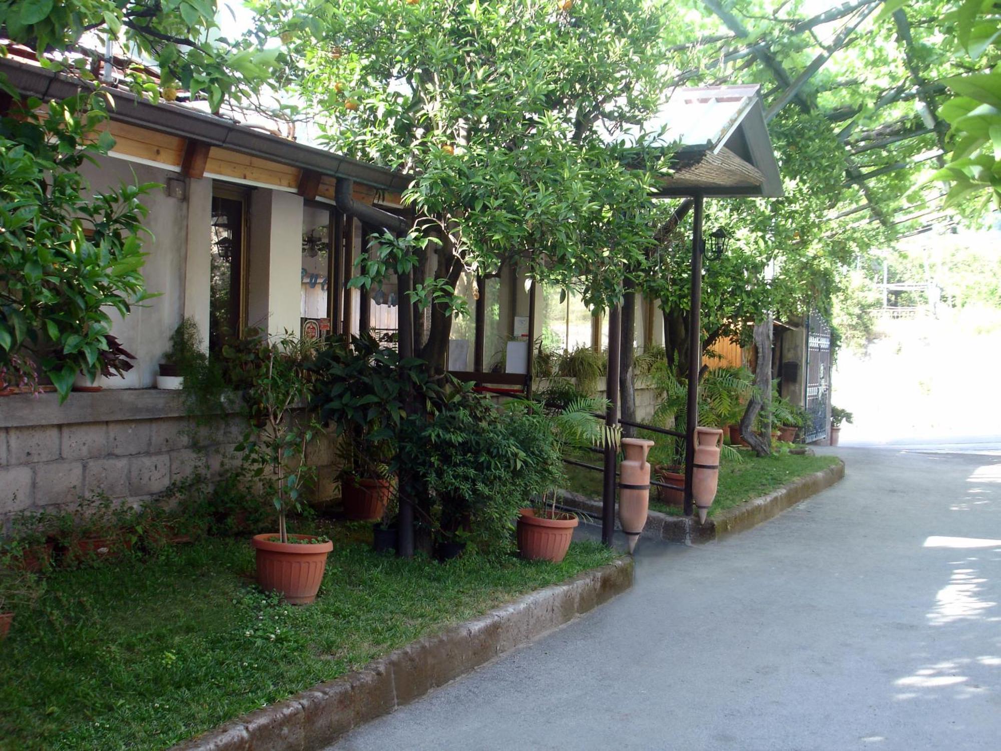 Fiori D'Arancio Hotel Piano di Sorrento Exterior photo